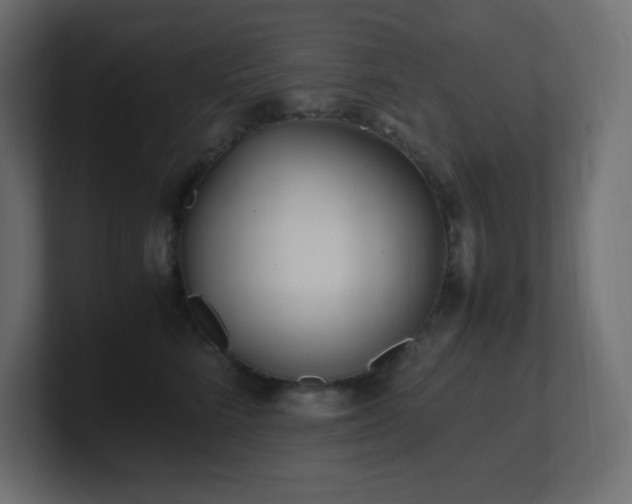 X0000100940712200806241427