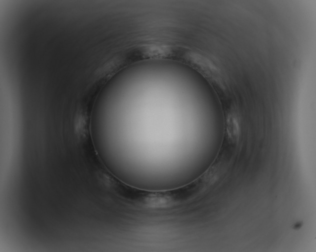 X0000100940714200806241427
