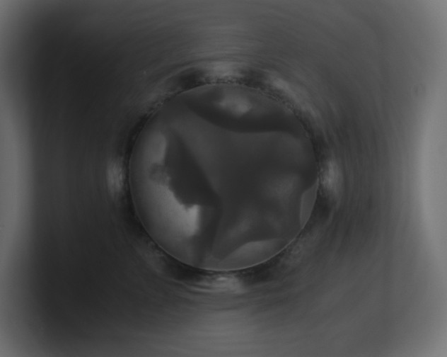 X0000100940715200806241427