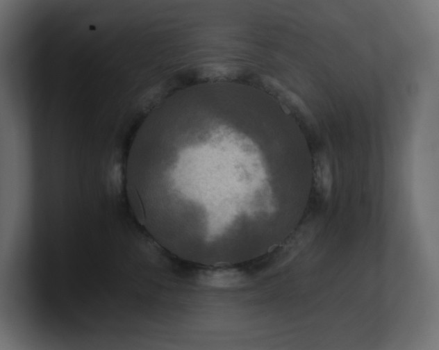 X0000100940716200806241427