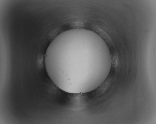 X0000100940717200806241427