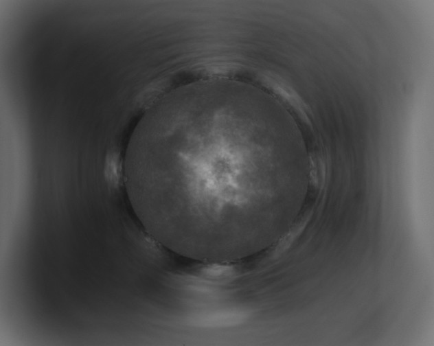 X0000100940718200806241427