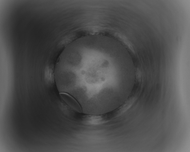 X0000100940719200806241427