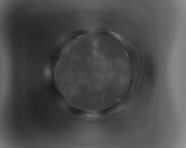 X0000100940720200806241427