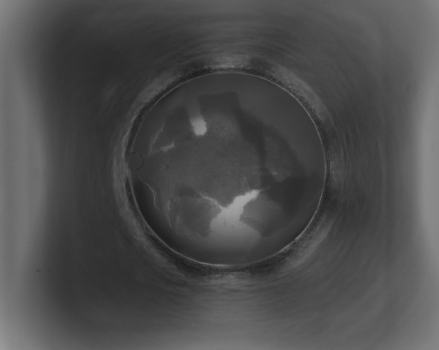 X0000100940721200806241426