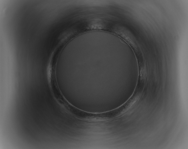 X0000100940722200806241426