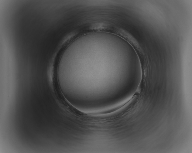 X0000100940724200806241426