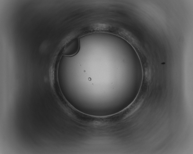 X0000100940725200806241426