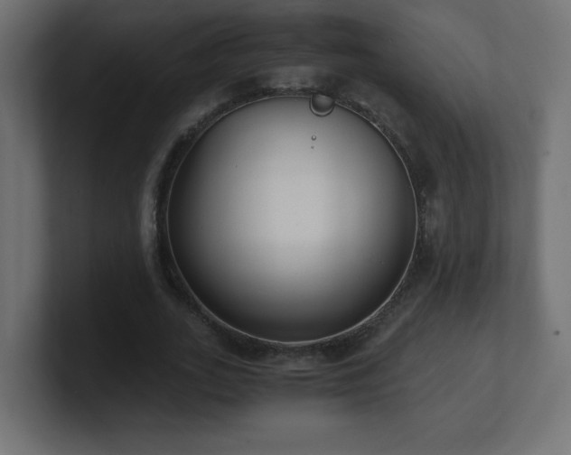 X0000100940727200806241426