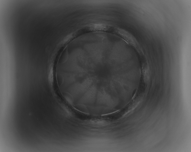 X0000100940729200806241427
