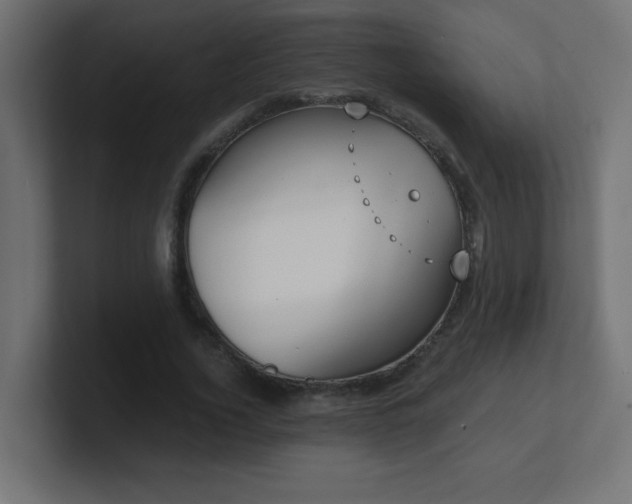 X0000100940732200806241427