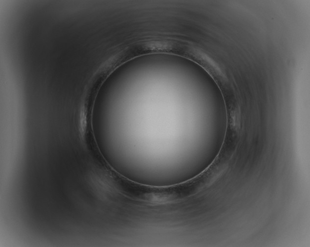 X0000100940733200806241427