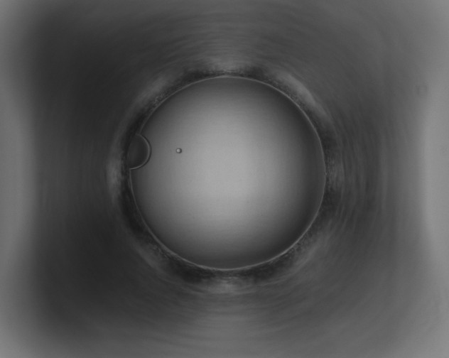 X0000100940736200806241427