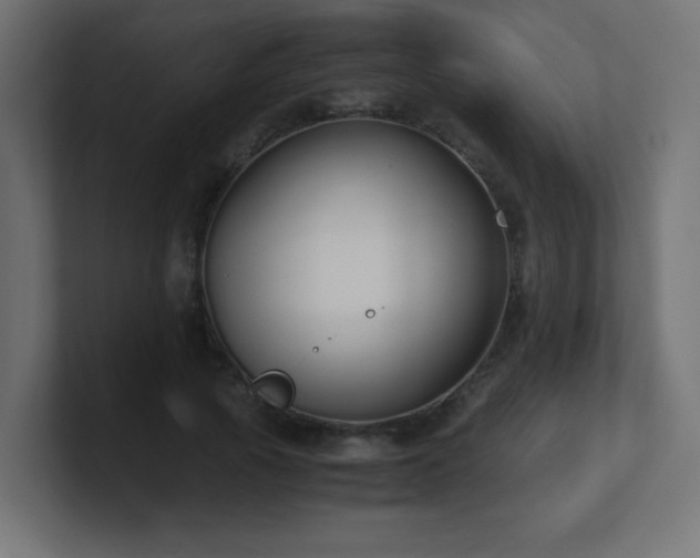 X0000100940737200806241427