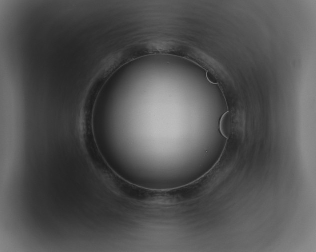 X0000100940738200806241427