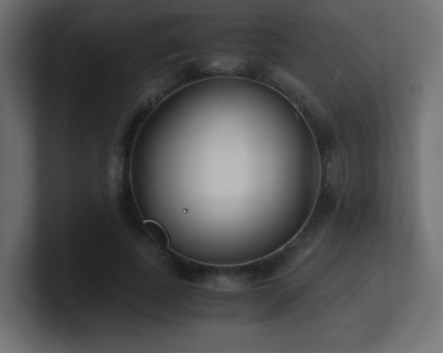 X0000100940739200806241427