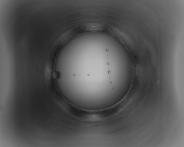 X0000100940741200806241427