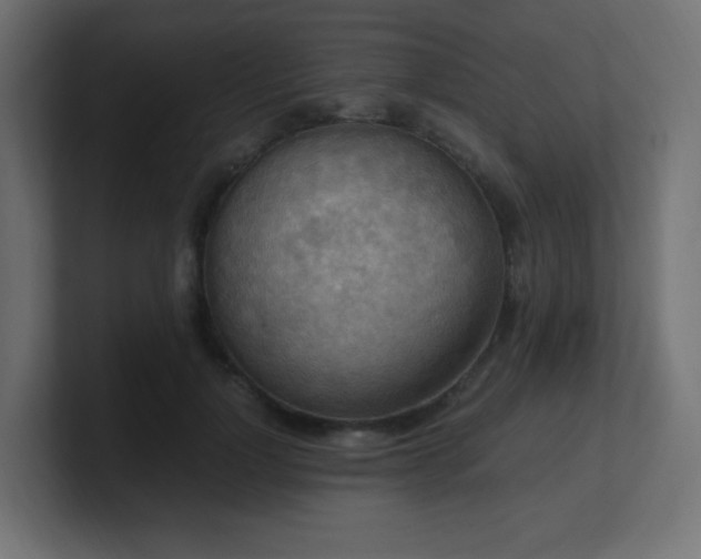 X0000100940748200806241427