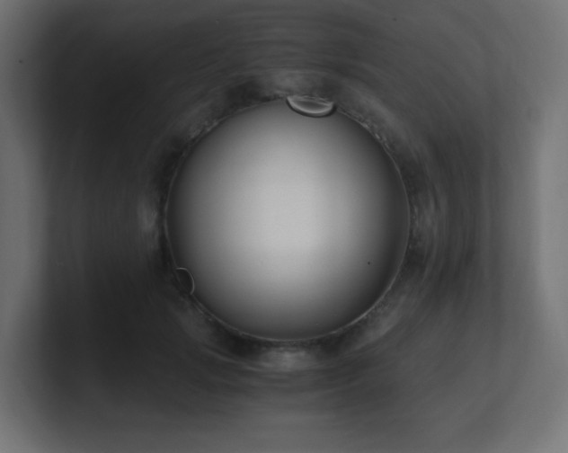X0000100940749200806241427