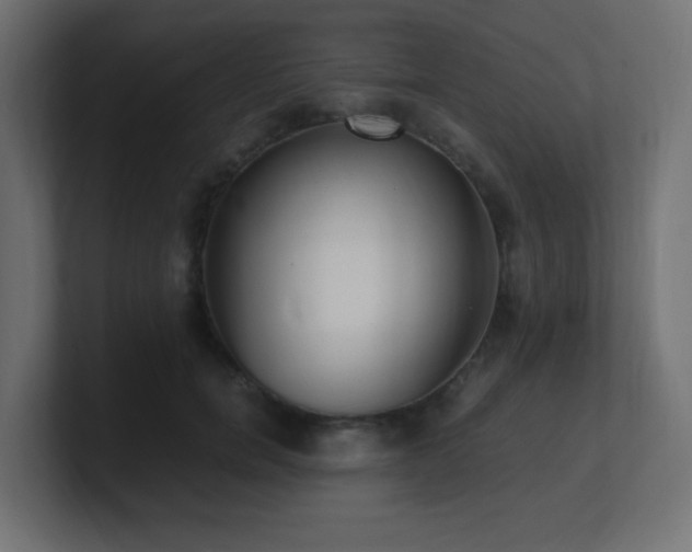 X0000100940750200806241427