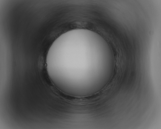 X0000100940752200806241427