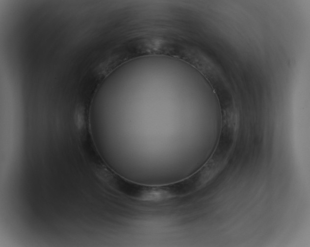 X0000100940754200806241427