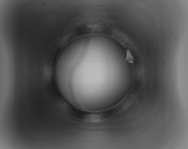X0000100940756200806241427