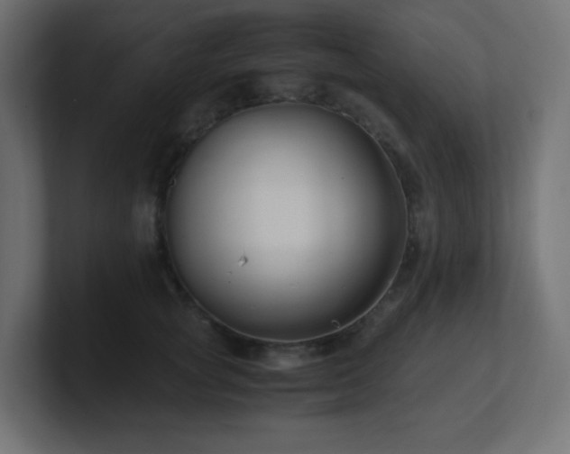 X0000100940757200806241427