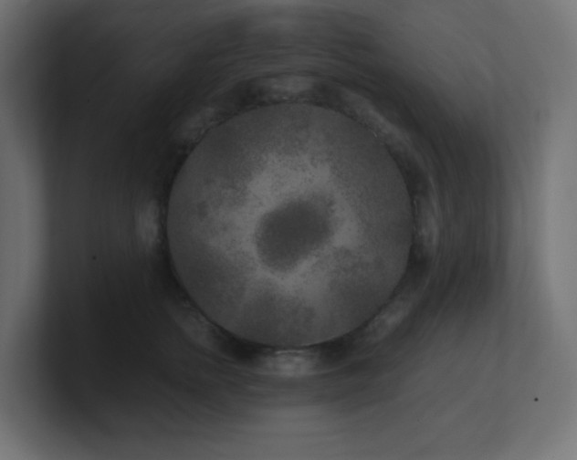 X0000100940758200806241427