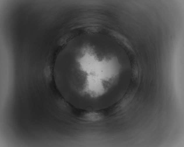 X0000100940759200806241427