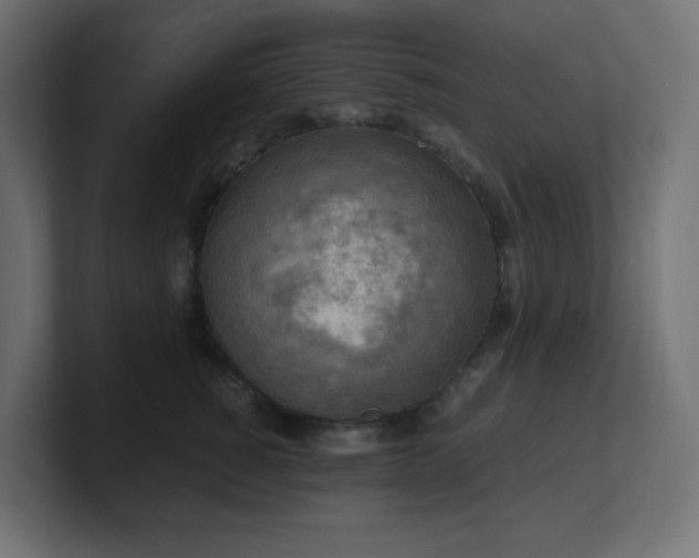 X0000100940760200806241427