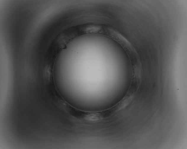X0000100940761200806241427