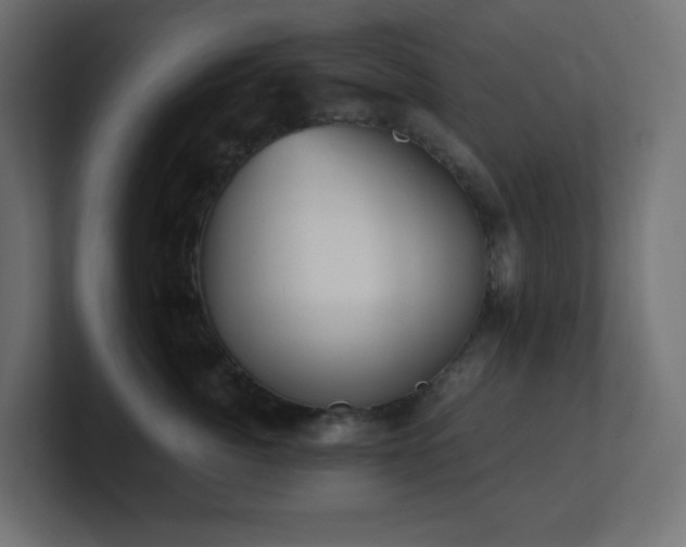 X0000100940764200806241427