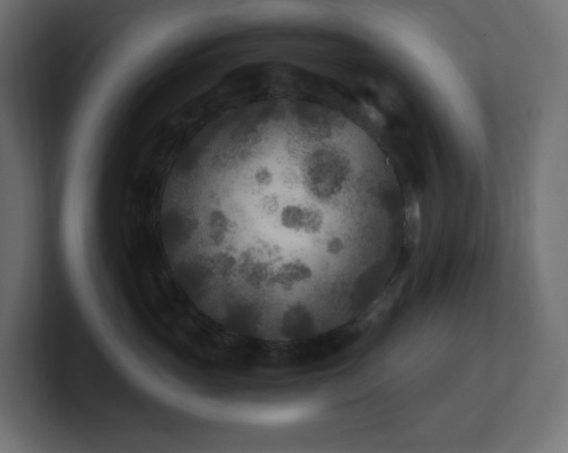 X0000100940765200806241427
