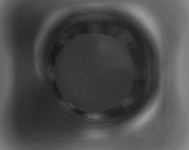 X0000100940766200806241427