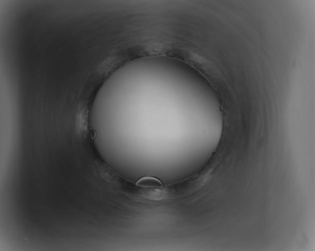 X0000100940768200806241427