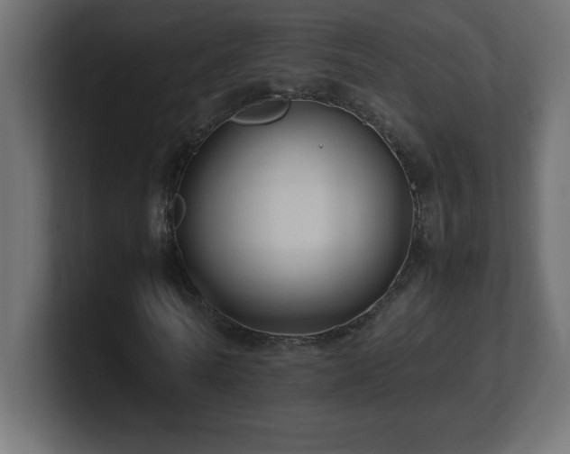 X0000100940770200806241426