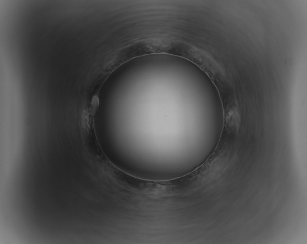X0000100940772200806241426
