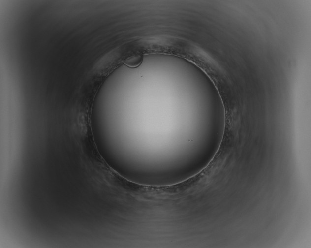 X0000100940774200806241426