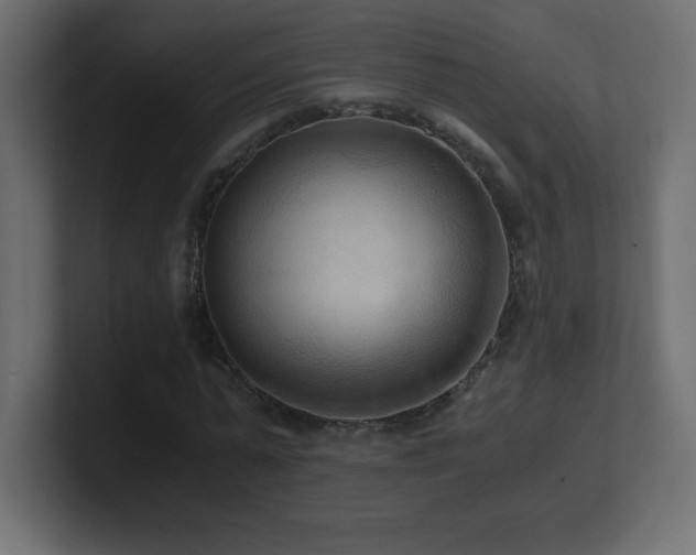 X0000100940775200806241426