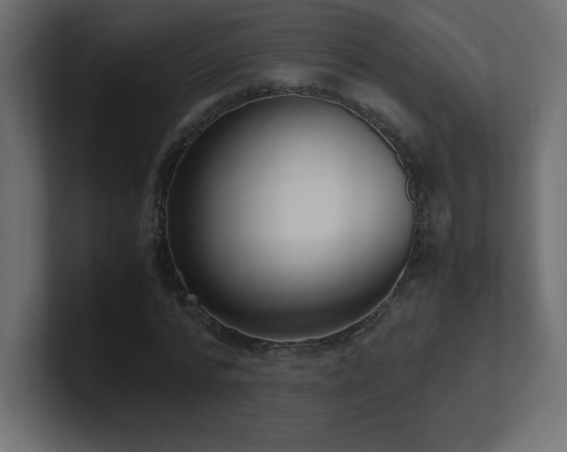X0000100940776200806241426