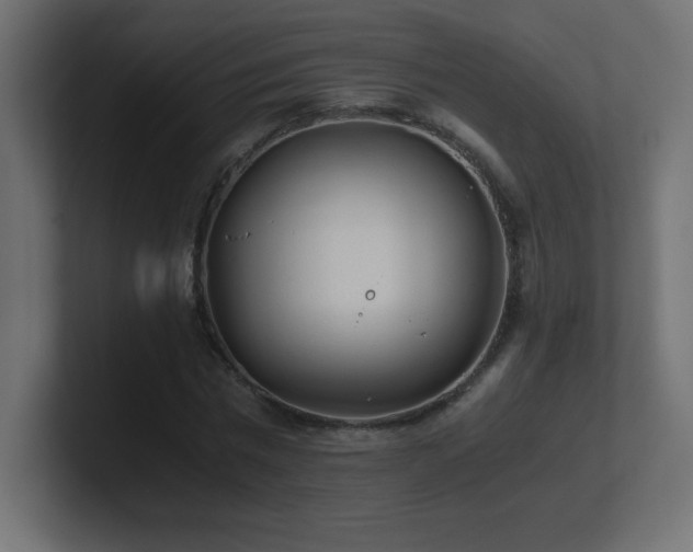 X0000100940777200806241426