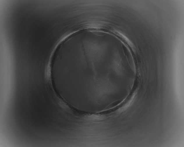 X0000100940779200806241426