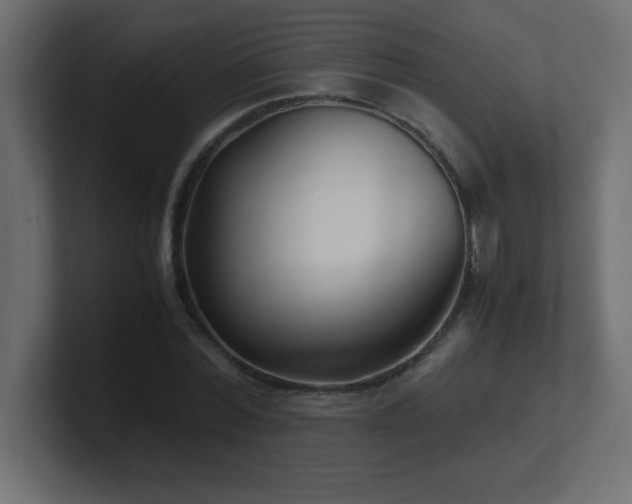 X0000100940780200806241426