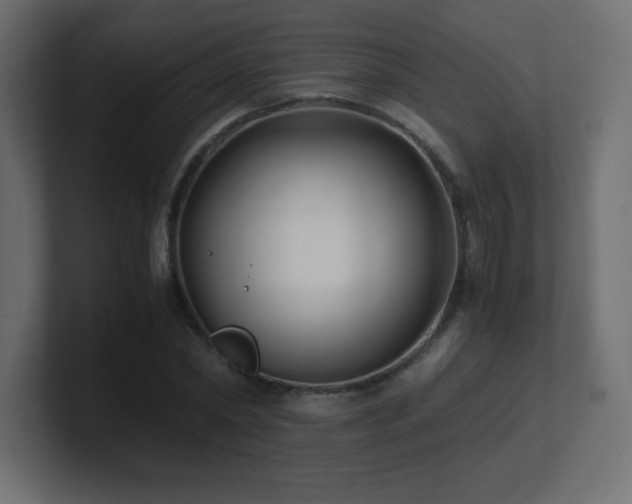 X0000100940782200806241426