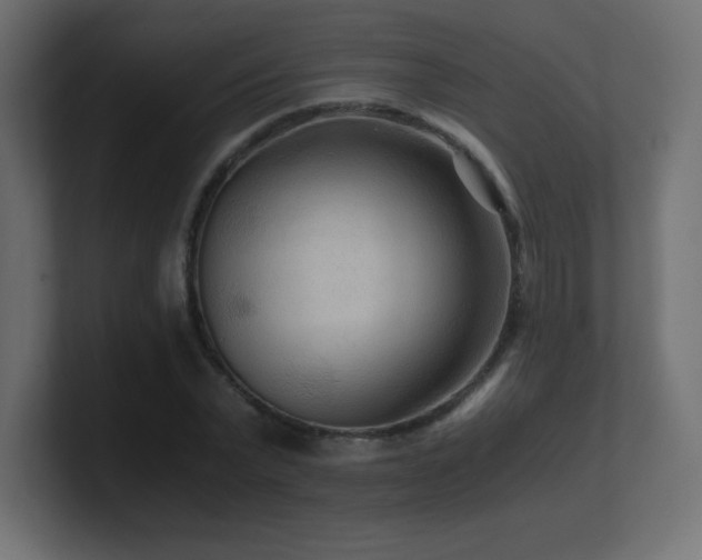 X0000100940783200806241426