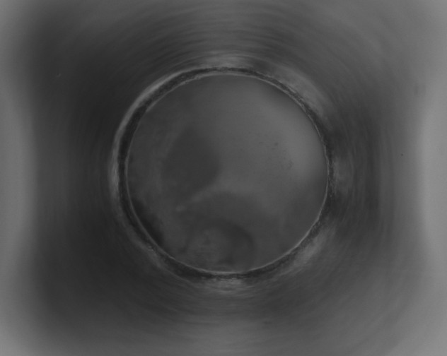 X0000100940784200806241426