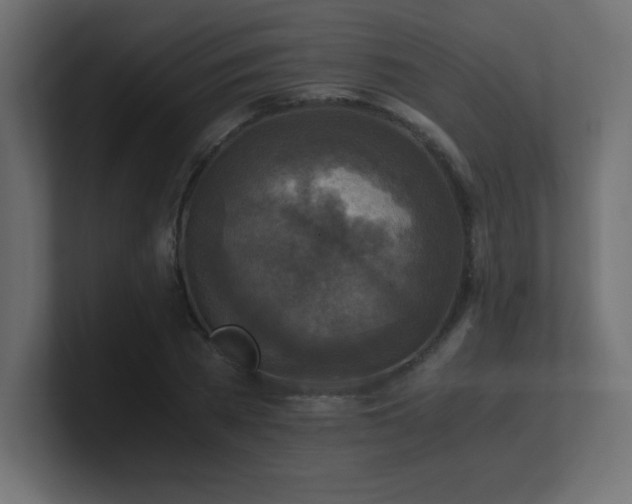 X0000100940785200806241426