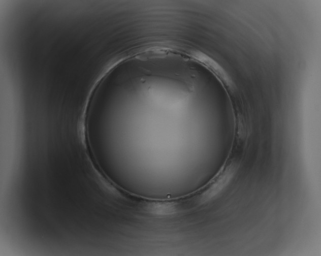 X0000100940802200806241426