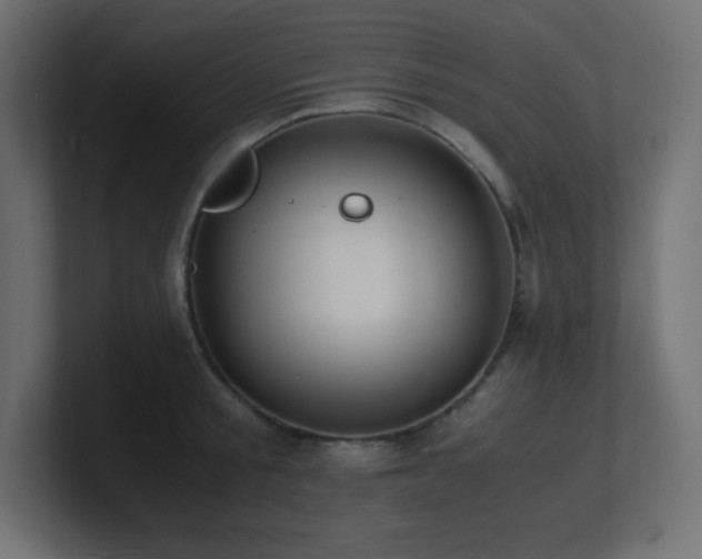 X0000100940805200806241426